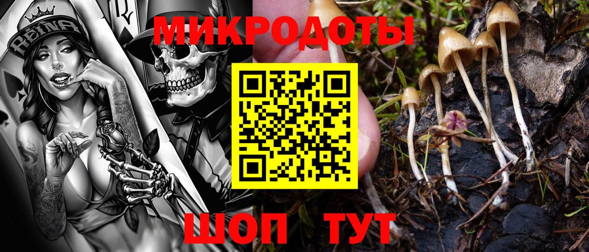 Псилоцибиновые грибы прущие грибы  купить наркоту  Мценск  Вход с VPN 