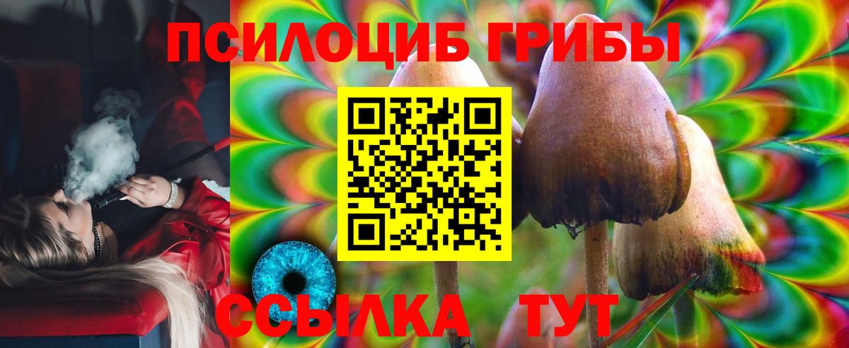 Псилоцибиновые грибы MAGIC MUSHROOMS Мценск